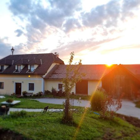 Apartament Gruenbauerhof Wilhelmsburg Zewnętrze zdjęcie